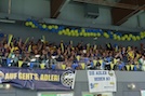 image-RLFIN26